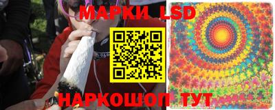 ПСИЛОЦИБИНОВЫЕ ГРИБЫ Тверь