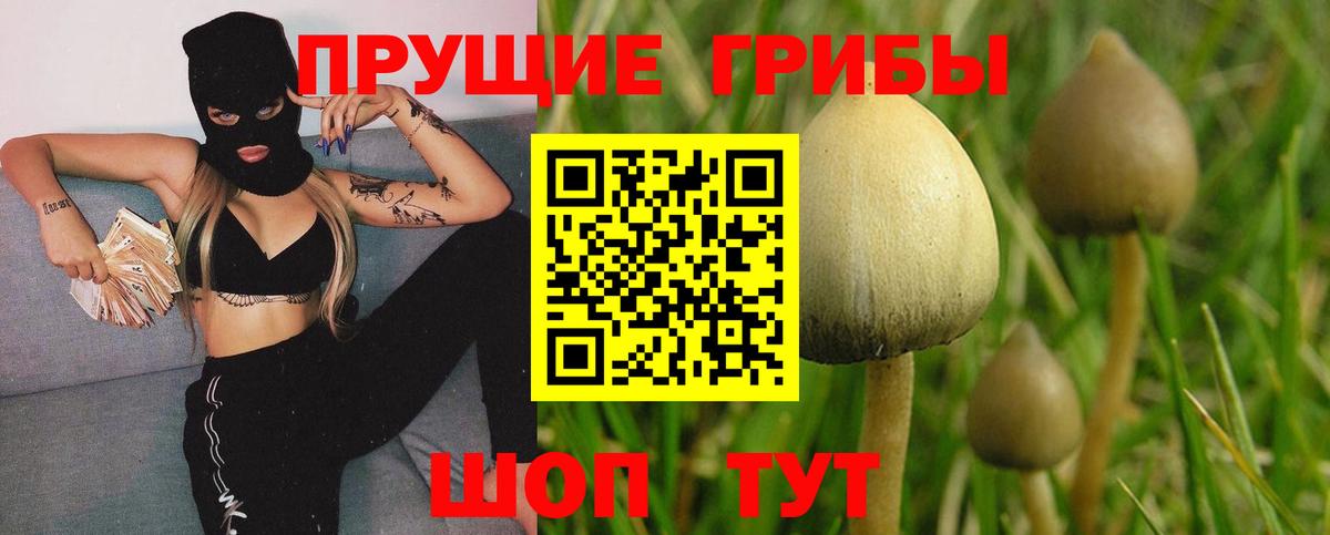 Псилоцибиновые грибы мухоморы  Вход с VPN  Озёры 
